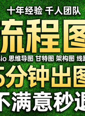 Visio代画流程图制作思维导图组织架构图技术路线图鱼骨图ppt美化