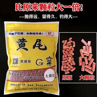 新款老G黄尾G窝黄尾腥版颗粒窝料饵底钓