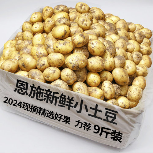 2025新鲜恩施小土豆口感粉糯
