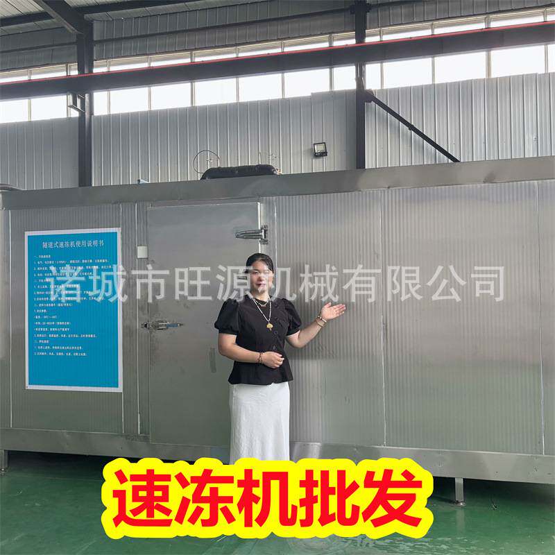 网带式急速冷冻隧道 板栗深加工流水线 芋头块低温速冻机