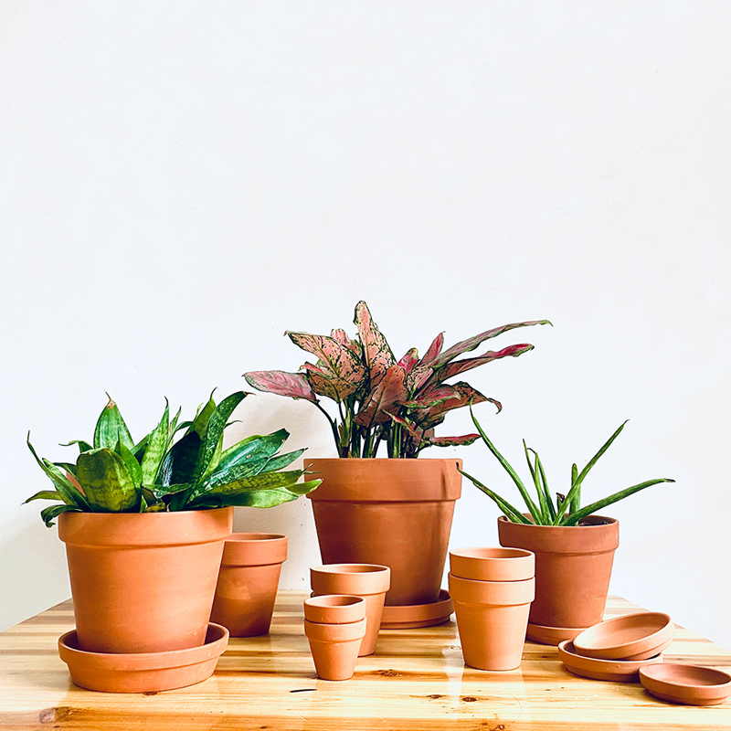 陶土简约透水好，透气强