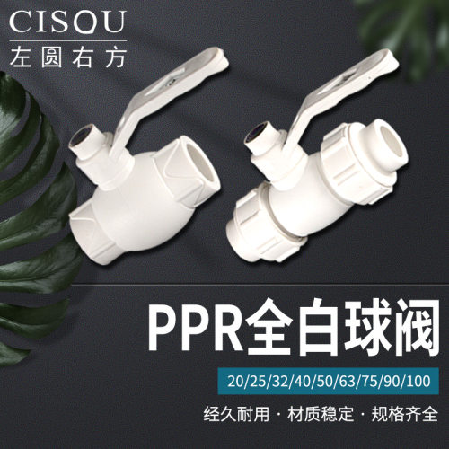 CISQUPPR全白球阀全新材料环保