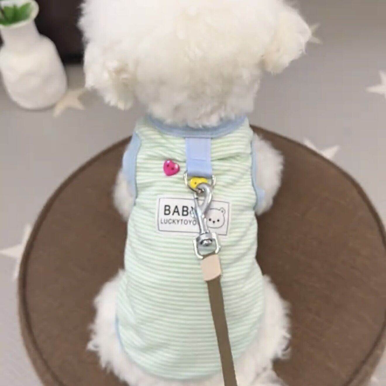 狗狗夏天衣服可牵引纯棉背心小型犬泰迪比熊博美小型犬宠物春夏装