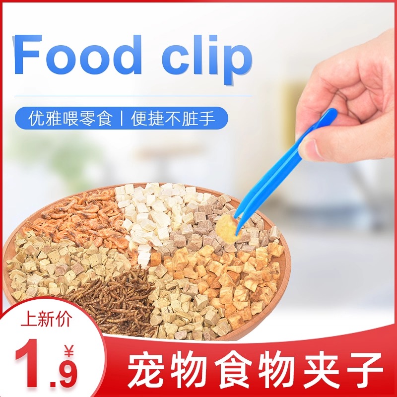 水龟蜥蜴小宠喂食塑料爬虫