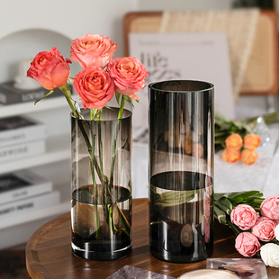高级感轻奢花瓶客厅插花摆件玻璃水培富贵竹水培玫瑰百合鲜花专用