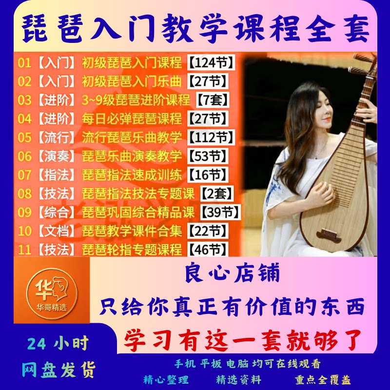 琵琶零基础系统自学教学入门课程进阶高级班视频乐曲指法声乐课程