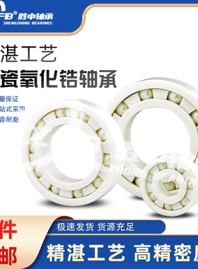 氧化锆全陶瓷轴承16000 16001 16002 16003 16004 16005 16006 CE