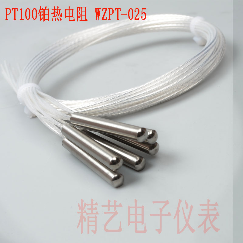 高精度Pt100热电阻 铂电阻 铂热电阻温度传感L器探头WZPT-025二线