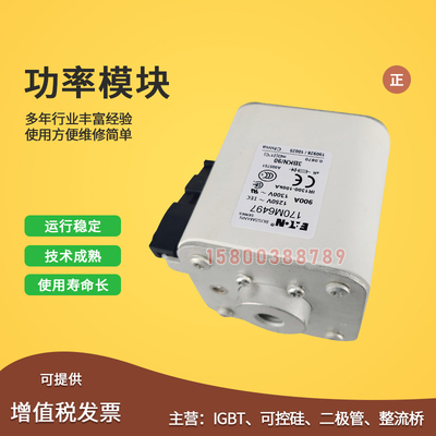 170M6497/6498/6499/6500/6501/6503/6508/6509快速保险丝熔断器