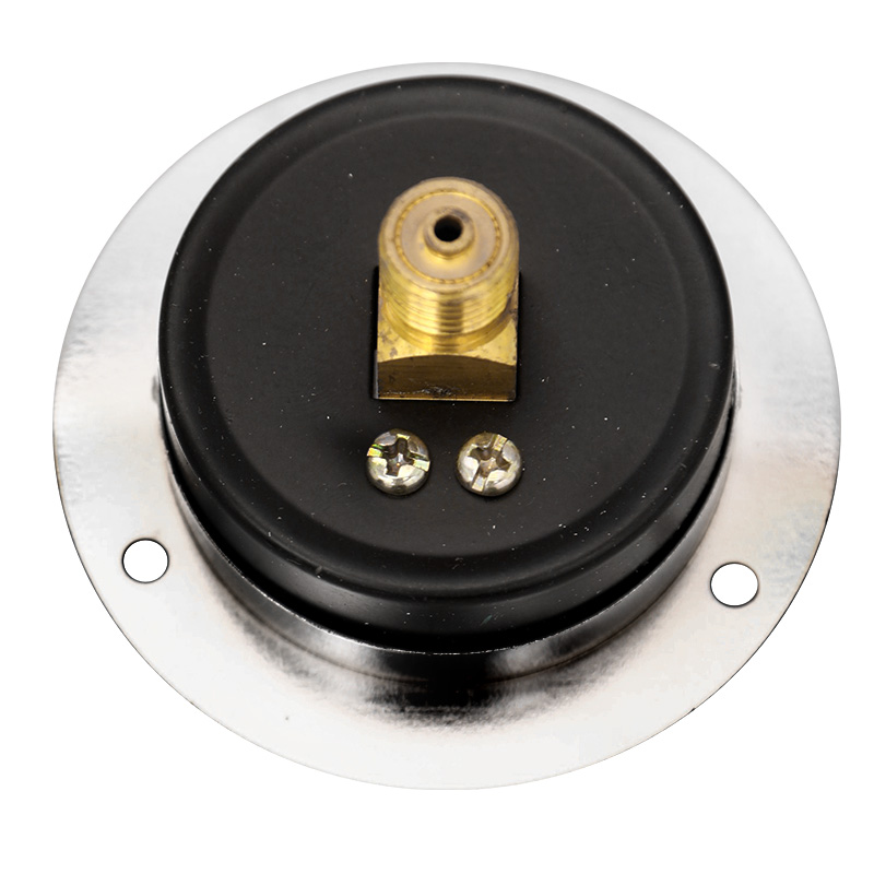 Y60ZT轴向带边压力表表盘固定安装式0-0.6/1/1.6/2.5/4/6/10Mpa