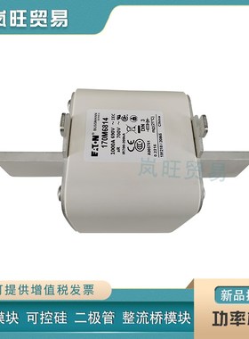 全新快速熔断器保险丝170M6813D 6814D 6815 6816 6817原装电熔丝