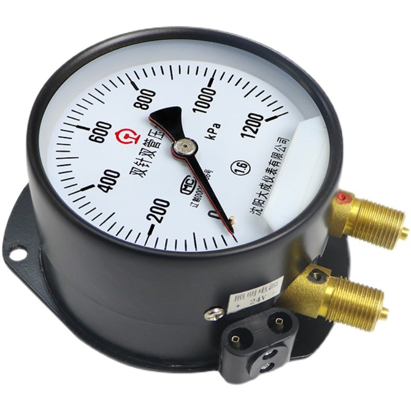【大成】轴向双针双管压力表 YZS-102双针压力表 0-1600kpa 带灯