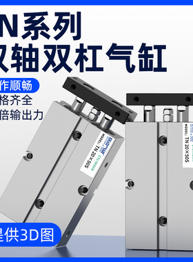 小型双轴气缸TN10/16/20/25/32/40*175*250双杆气缸TDA气动长行程