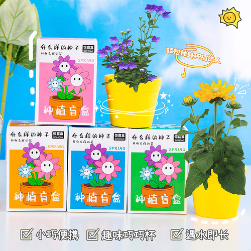 儿童植物种植盆栽盲盒幼儿园