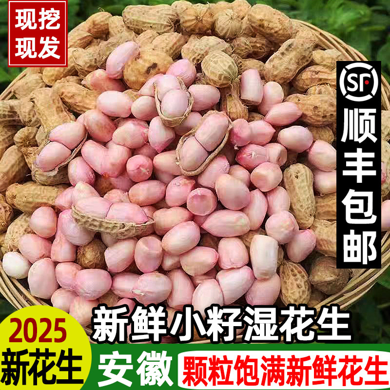 新鲜湿花生精选粉皮花生