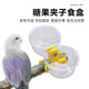 鹦鹉糖果夹子食盆站架食盒亚克力鸟食杯带夹子玄凤喂食器虎皮粮碗