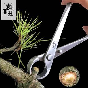 枝钳子园艺盆景水口专用球形剪球节剪修花枝剪刀破杆钳工具套装剪
