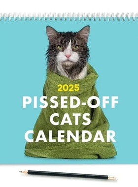 跨境新品2025 Pissed-Off Cats Calendar愤怒的猫2025年日历