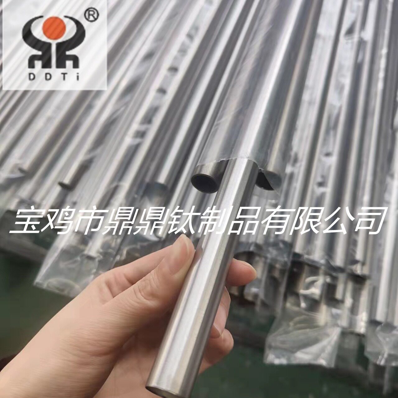 鼎鼎钛厂家 纯钛管TA2   10*1  钛合金管 现货供应