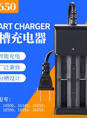 18650充电器双槽3.7V锂电池照明灯矿灯2节电池充电220V欧规扁插直