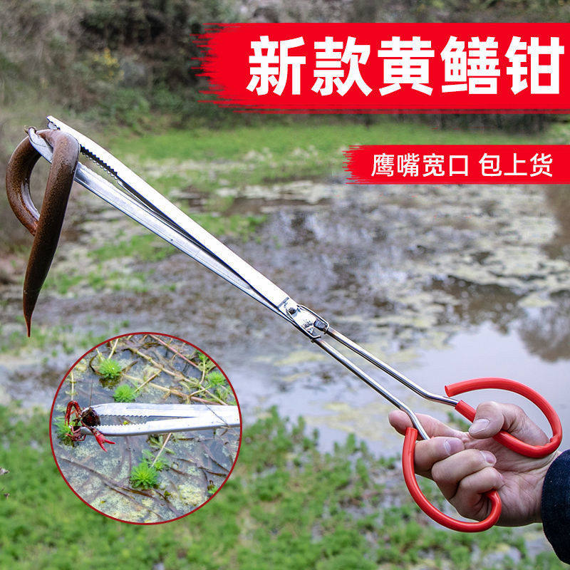 捕泥鳅黄鳝夹鳝鱼夹子不锈钢钳子防滑赶海神器抓螃蟹龙虾专用工具