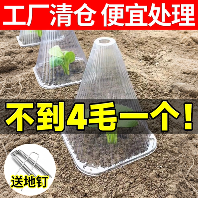 幼苗育苗保护罩大号透明钟罩植物保温罩温室大棚防虫防鸟霜冻加厚