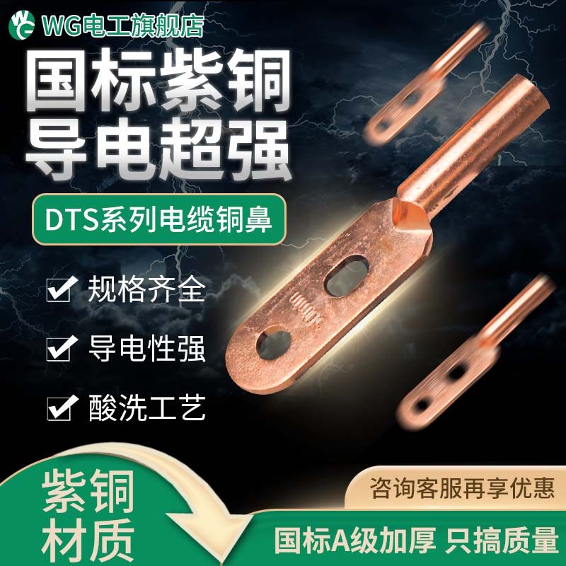 WG欧式紫铜国标双孔铜鼻子