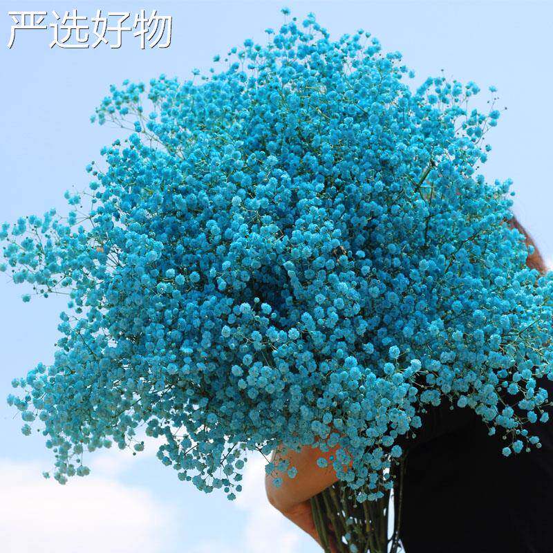 【全国包邮】云南工直厂发满天星花束居家装饰摆设摆件花办公室客