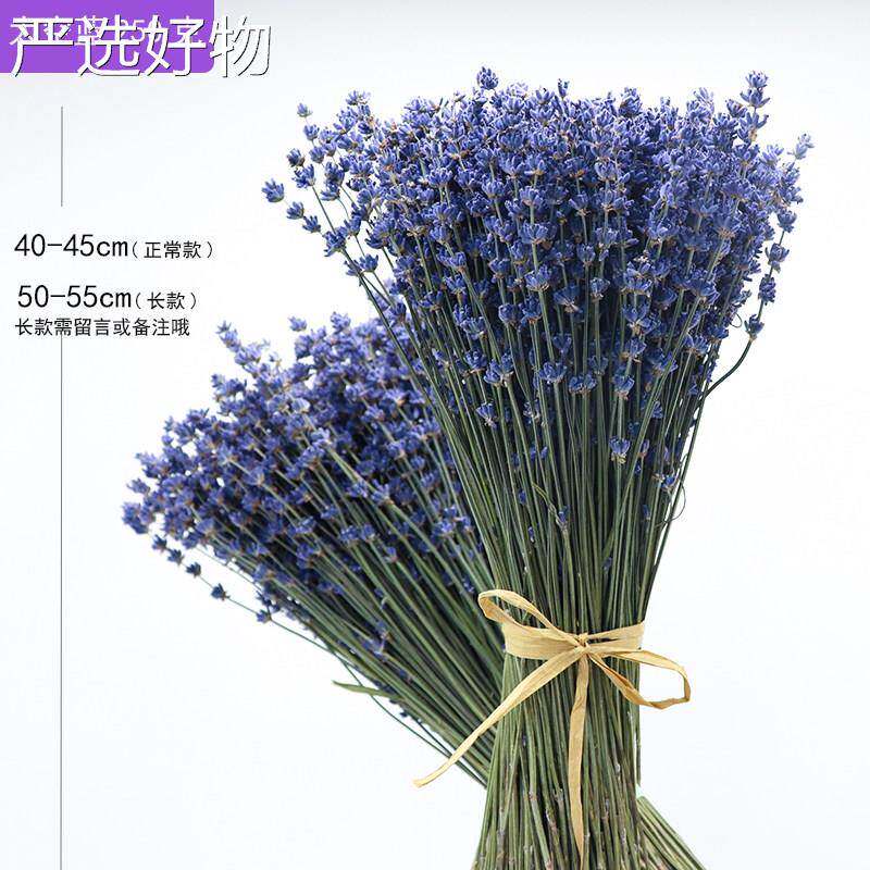 【全国包邮】衣干花天然风干花束安神草助花眠香薰网红插薰家居装