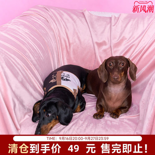 【陈伟霆】ROSYDOEDIAN X CANOTWAIT_宠物胸背牵引绳套装小型宠物