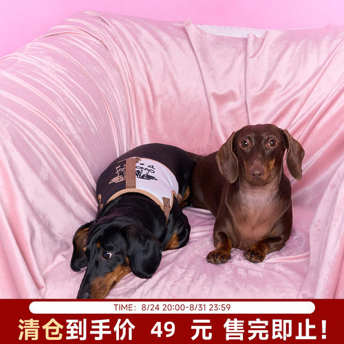 【陈伟霆】ROSYDOEDIAN X CANOTWAIT_宠物胸背牵引绳套装小型宠物