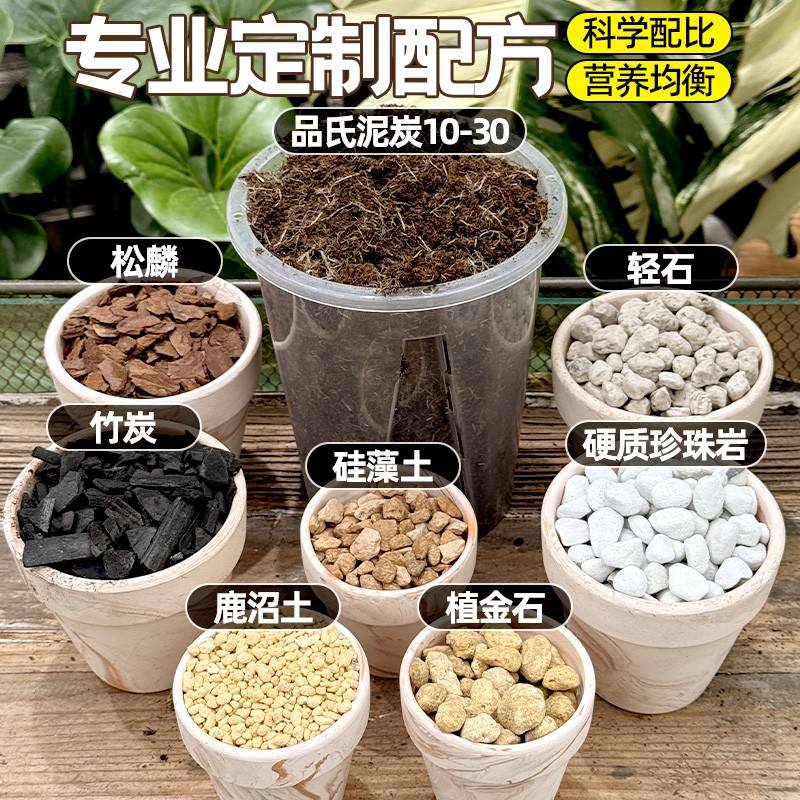 天南星科专用土八合一植物配土热植土龟背竹花烛芋科秋海棠蔓绿绒图片