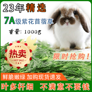 兔子苜蓿草龙猫苜蓿干草兔草干草荷兰猪豚鼠兔粮干草1kg 23年新草