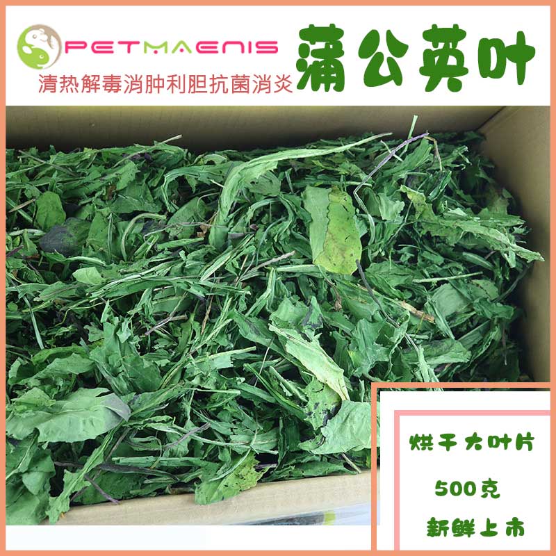 烘干大叶蒲公英草 兔子牧草龙猫干草豚鼠 感冒 肠炎 抗菌消炎500g