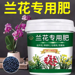 兰花专用肥强根壮苗促开花颗粒缓释不烧根四季 通用蝴蝶兰开花植料