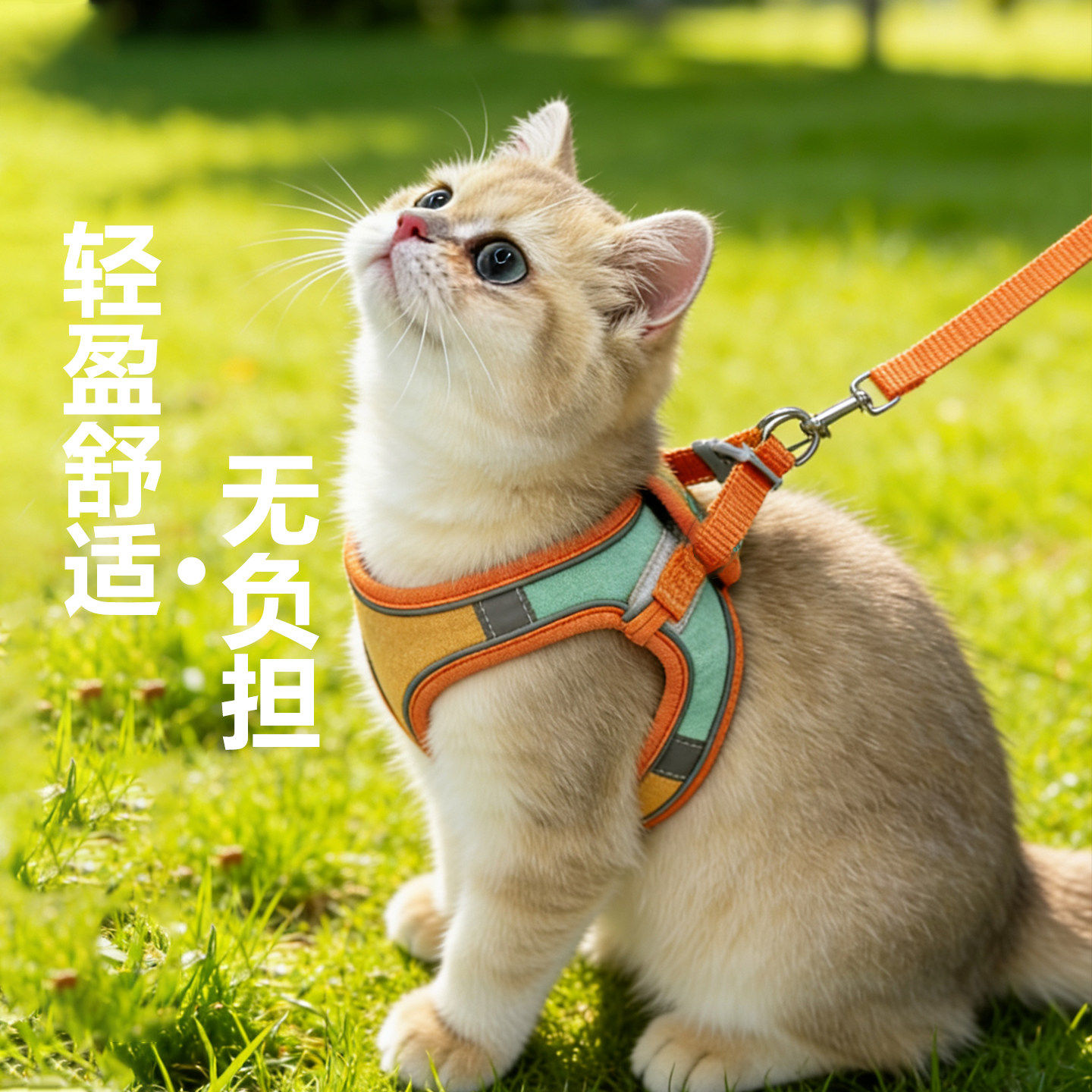 猫咪牵引绳防挣脱不勒脖遛小猫专用胸背带背心式溜幼猫绳子可调节
