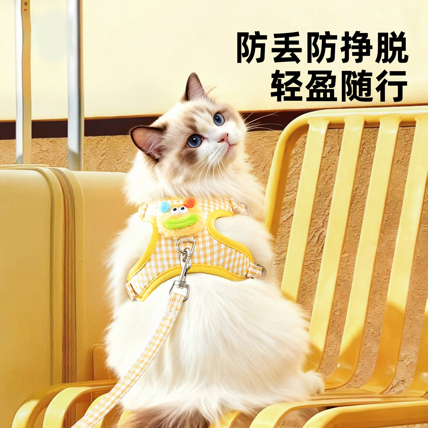 猫咪牵引绳外出防挣脱不勒脖溜猫绳宠物可调节背心式胸背带猫链子,宠物/宠物食品及用品,猫牵引绳,淘宝优惠券,粉丝福利购,淘宝优惠卷