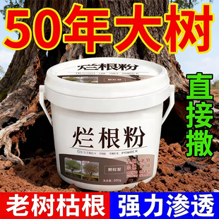 环嗪酮灭树粉大树烂枯死用腐树根药死树根的兰根剂强力枯树王神器