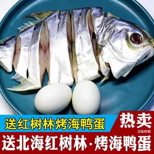 北海淡晒金鲳鱼干海鲜特产