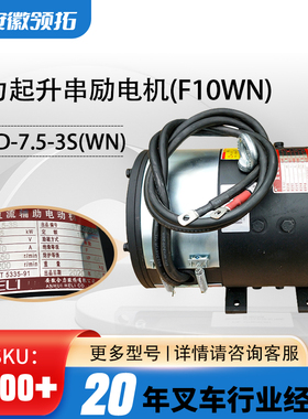合力1-1.5t不带转向电机起升直流电机F10WN皖南电机XQD-7.5-3S