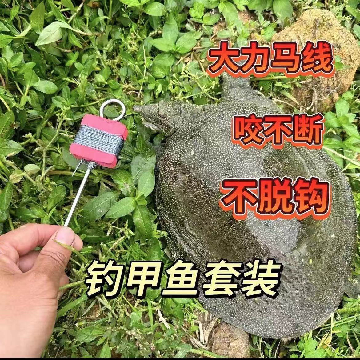 钓甲鱼钩全套地插线组成品套装