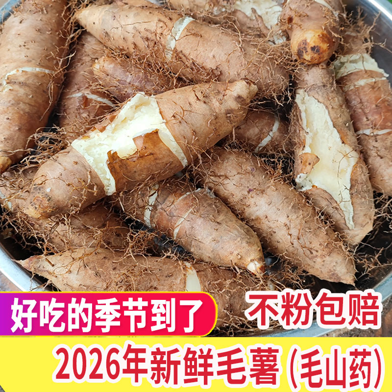 正宗茂名新鲜毛薯粉糯现挖山药