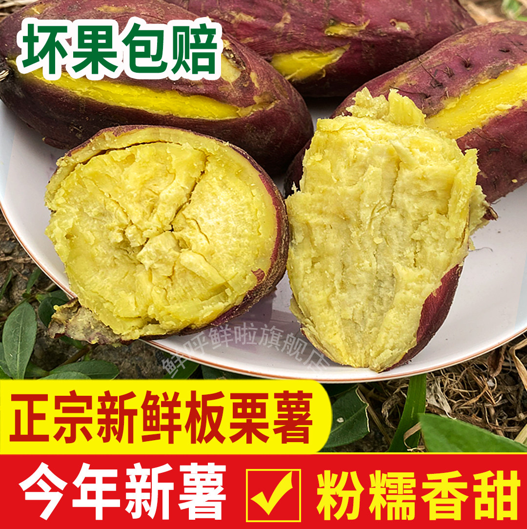 板栗红薯新鲜农家自种黄心栗子干面地瓜现挖粉糯甜鸡蛋黄番薯 5斤