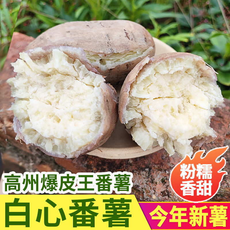 高州爆皮王番薯白心面包王红薯新鲜粉糯香甜现挖农家板栗干面地瓜