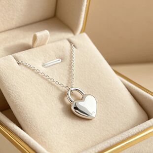 Hot charms Sterling Silver Ethnic heart Lock necklace for