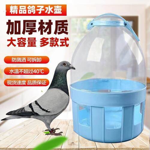 鸽子用品用具饮水器自动喂水信鸽水槽赛鸽喝水桶鸽具鸡用水壶加厚