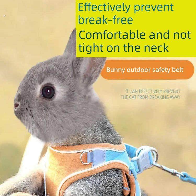 防止脱落的兔子牵引绳，兔子行走专用神器，背心式衣服伸缩滑绳,宠物/宠物食品及用品,猫牵引绳,淘宝优惠券,粉丝福利购,淘宝优惠卷