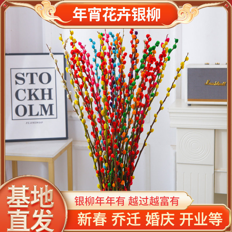银柳真花鲜枝年宵花卉红色干花福桶银柳水培植物鲜花客厅