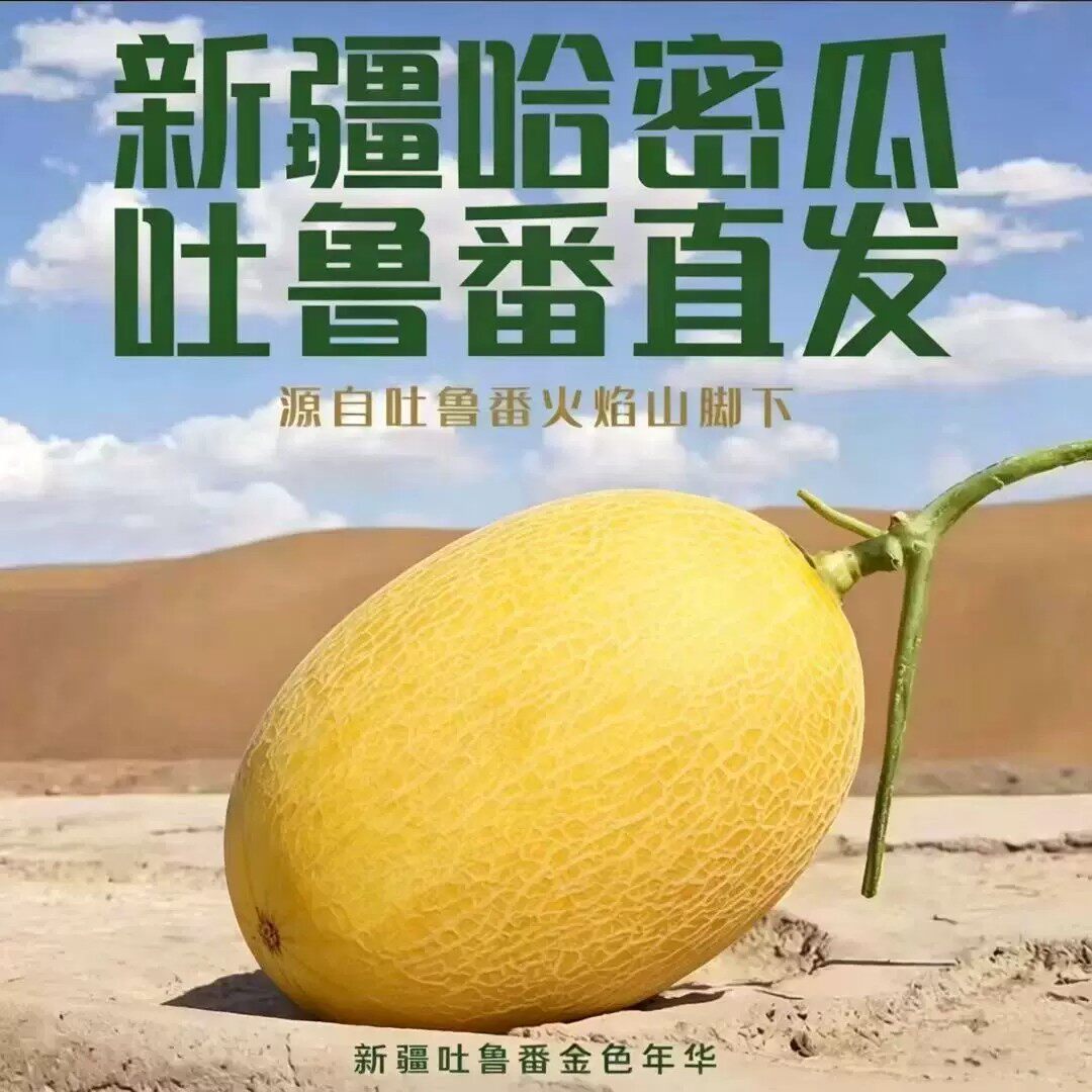 【新疆一级果直发】正宗火焰山哈密瓜吐鲁番新鲜水果蜜甜果香浓-2