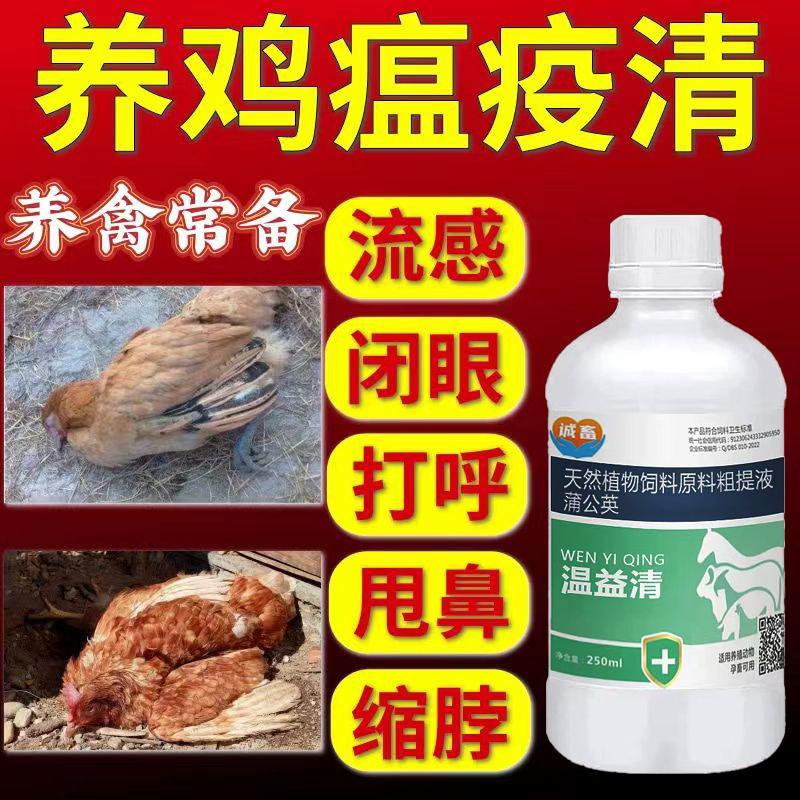 家禽用瘟疫清鸡鸭鹅鸽鸡药大全特效抗病毒流感鸡感冒咳嗽呼噜